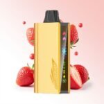JNR Cruiser 12000 Puffs Disposable Vape - Image 7