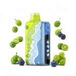 Elf Bar Ice King Summer Edition 40K 40000 Puffs Disposable Vape - Image 3