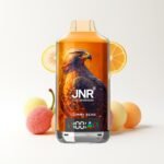 JNR Falcon X 18000 Puffs Disposable Vape - Image 12