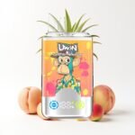Uwin Crystal Twins 40000 Puffs Disposable Vape - Image 14