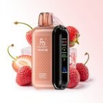 Fumot Randm Tornado 20000 Wholesale Refill Dual Mesh Puffs Disposable Vape - Image 27