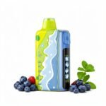 Elf Bar Ice King Summer Edition 40K 40000 Puffs Disposable Vape - Image 8