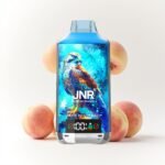 JNR Falcon X 18000 Puffs Disposable Vape - Image 21